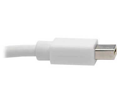 Tripp-Lite P139-003-DP-V2B Wit
