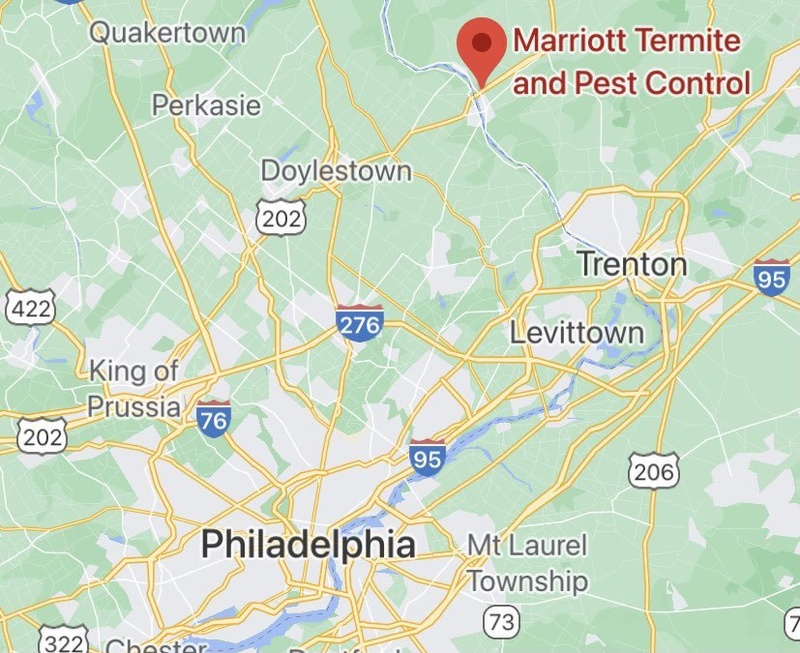 Afbeeldingslocatie: https://tweakers.net/i/oKf1Wj63JsGAtIT0yzmKJJb2dgg=/800x/filters:strip_icc():strip_exif()/f/image/tB0IFnGnLRXTuOJXUaX6ZTQu.jpg?f=fotoalbum_large