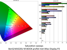 BenQ MA320U - Kleurmetingen Display P3 (M-Book, macOS)
