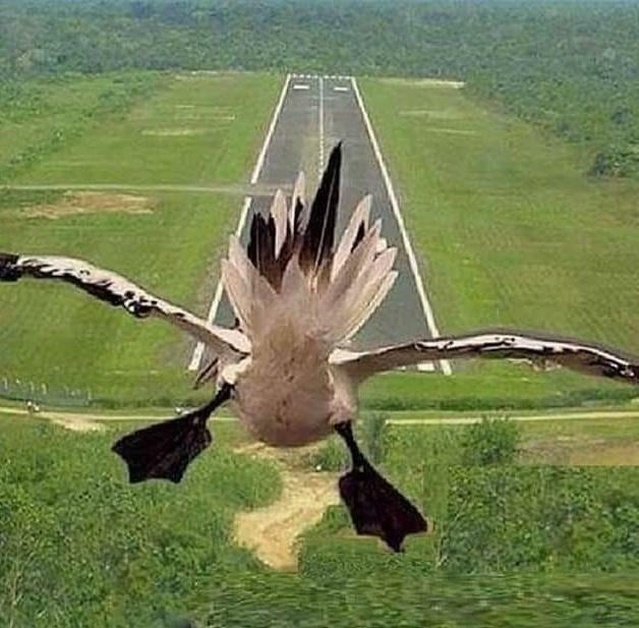 Afbeeldingslocatie: https://tweakers.net/i/oKzbBXnEq-ic98pWgqiOsjZU49M=/full-fit-in/4920x3264/filters:max_bytes(3145728):no_upscale():strip_icc():fill(white):strip_exif()/f/image/fIaOF7Pdh1InYOx2Sg9ujYai.jpg?f=user_large