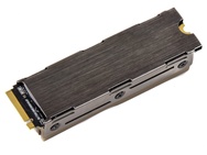 MSI Spatium M480