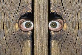 Afbeeldingslocatie: https://tweakers.net/i/oSoYVSYDzm_nXs7JaR2hogY3bDk=/full-fit-in/4920x3264/filters:max_bytes(3145728):no_upscale():strip_icc():fill(white):strip_exif()/f/image/ZGDsRx2udzLfKfs5cb8rvTwN.jpg?f=user_large