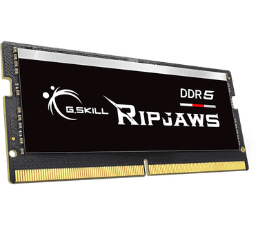 G.Skill Ripjaws F5-4800S4039A16GX1-RS