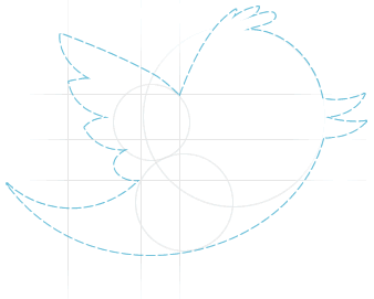 Twitter dev bird