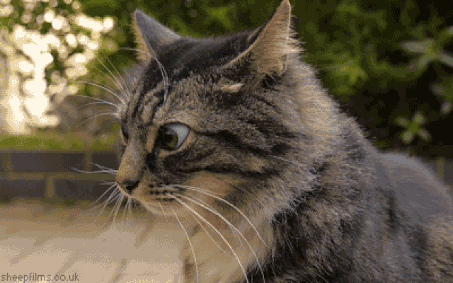 Afbeeldingslocatie: https://tweakers.net/i/oVRUFN-V2JZZAZFKZB9jdfo2hJE=/full-fit-in/4000x4000/filters:no_upscale():fill(white):gifsicle():strip_exif()/f/image/saWH2P4NLkjPurWVralXPbzw.gif?f=user_large