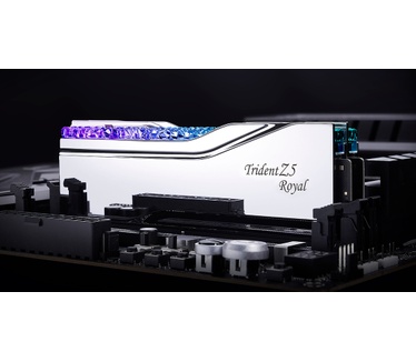 G.Skill F5-6400J3239F48GX2-TR5S