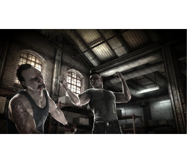 The Fight