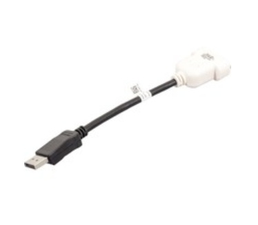 Dell DisplayPort/DVI-D