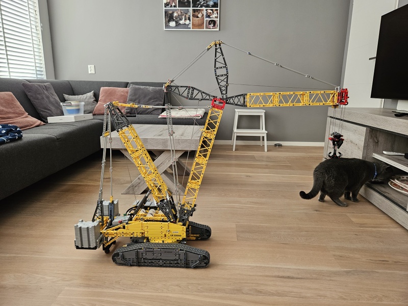 Afbeeldingslocatie: https://tweakers.net/i/obVBOjJO_J31GDXAlACoBIbhRY8=/800x/filters:strip_icc():strip_exif()/f/image/uIrtfQHl5HrrThAkfuO9BDIW.jpg?f=fotoalbum_large