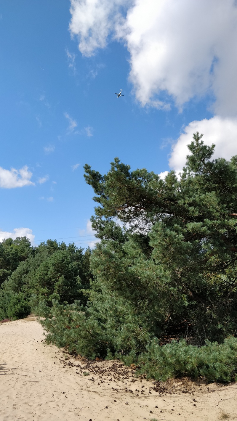 Afbeeldingslocatie: https://tweakers.net/i/obao2moKsT6lEfagstwQ4Rq0h4M=/800x/filters:strip_icc():strip_exif()/f/image/0GP9kHFZLf67TaLIcGcEGXtK.jpg?f=fotoalbum_large