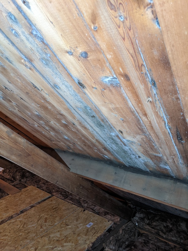 Afbeeldingslocatie: https://tweakers.net/i/odlzH0NqcLVd4odbuDdhf2txPGQ=/x800/filters:strip_icc():strip_exif()/f/image/TtDvRcyICI6FKkOHTFt042PZ.jpg?f=fotoalbum_large