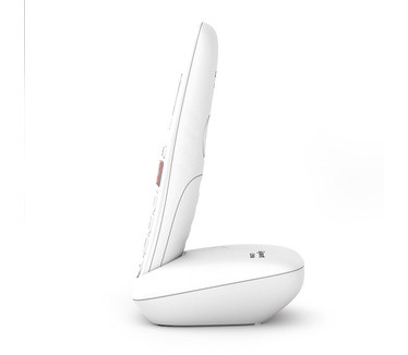 Gigaset E290