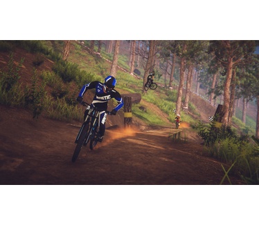 Descenders, Switch
