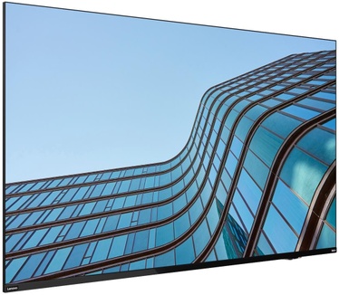 Lenovo ThinkVision E55 LFD