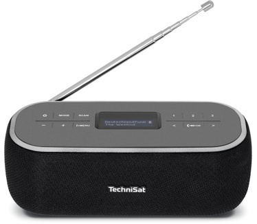 Technisat VIOLA BT 1