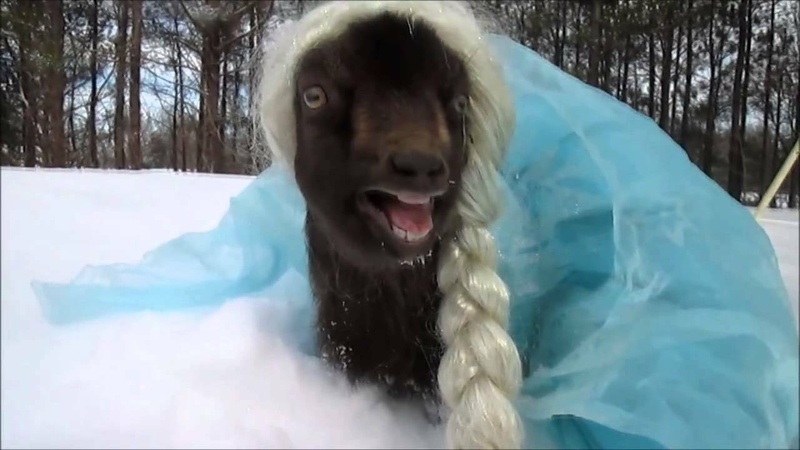 Afbeeldingslocatie: https://tweakers.net/i/ojsbCaYyx9_JF4O09HGrAWyvc10=/800x/filters:strip_icc():strip_exif()/f/image/uz0rIdrZbP7FRdgV5NukaL4b.jpg?f=fotoalbum_large