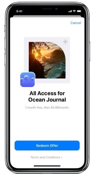 Apple offer codes in apps
