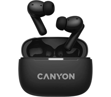 Canyon CNS-TWS10B