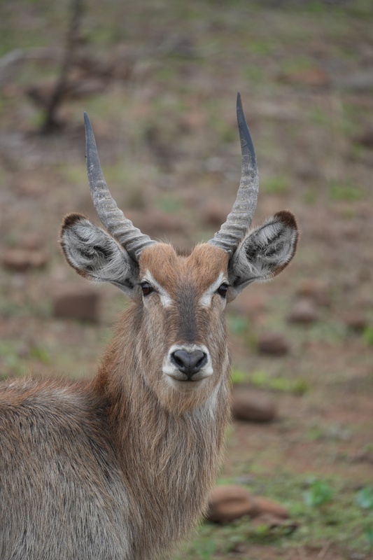 Afbeeldingslocatie: https://tweakers.net/i/ooSSDZP4S2pX1GXhGAbtoPdkiGs=/x800/filters:strip_icc():strip_exif()/f/image/TxBkGYZzvfmEgtHrGqgLTsrQ.jpg?f=fotoalbum_large