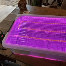 Afbeeldingslocatie: https://tweakers.net/i/op1RdOHH49Dl4bch19-NB_AqxAQ=/232x232/filters:strip_icc():strip_exif()/f/image/Xw4sDJvND5O5yGalC2MbbXDh.jpg?f=fotoalbum_tile