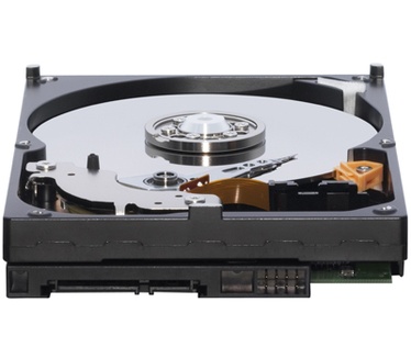 WD Caviar RE2 WD7500AYYS, 750GB