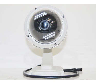 Foscam Foscam FI8919W Outdoor PT Dome Camera