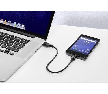 Renkforce RF-4463076