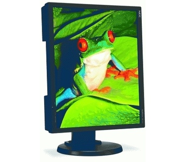 NEC MultiSync EA190M Zwart
