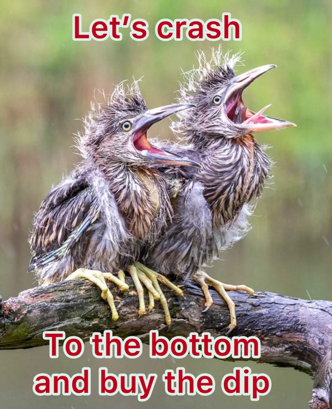 Afbeeldingslocatie: https://tweakers.net/i/ovBGgdnz9didqe3htBwgVl89Mfw=/x800/filters:strip_icc():strip_exif()/f/image/HgcAEugJI3lQzBry7bSIm9Tp.jpg?f=fotoalbum_large