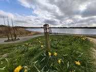 Phone 4a Pro cameratest - Ultragroothoek