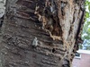 Afbeeldingslocatie: https://tweakers.net/i/ovxFsUiYuRt7rn7rSkqG7NcWhd8=/100x75/filters:strip_icc():strip_exif()/f/image/XaXVTMDitochCXCI68TJrrZp.jpg?f=fotoalbum_small