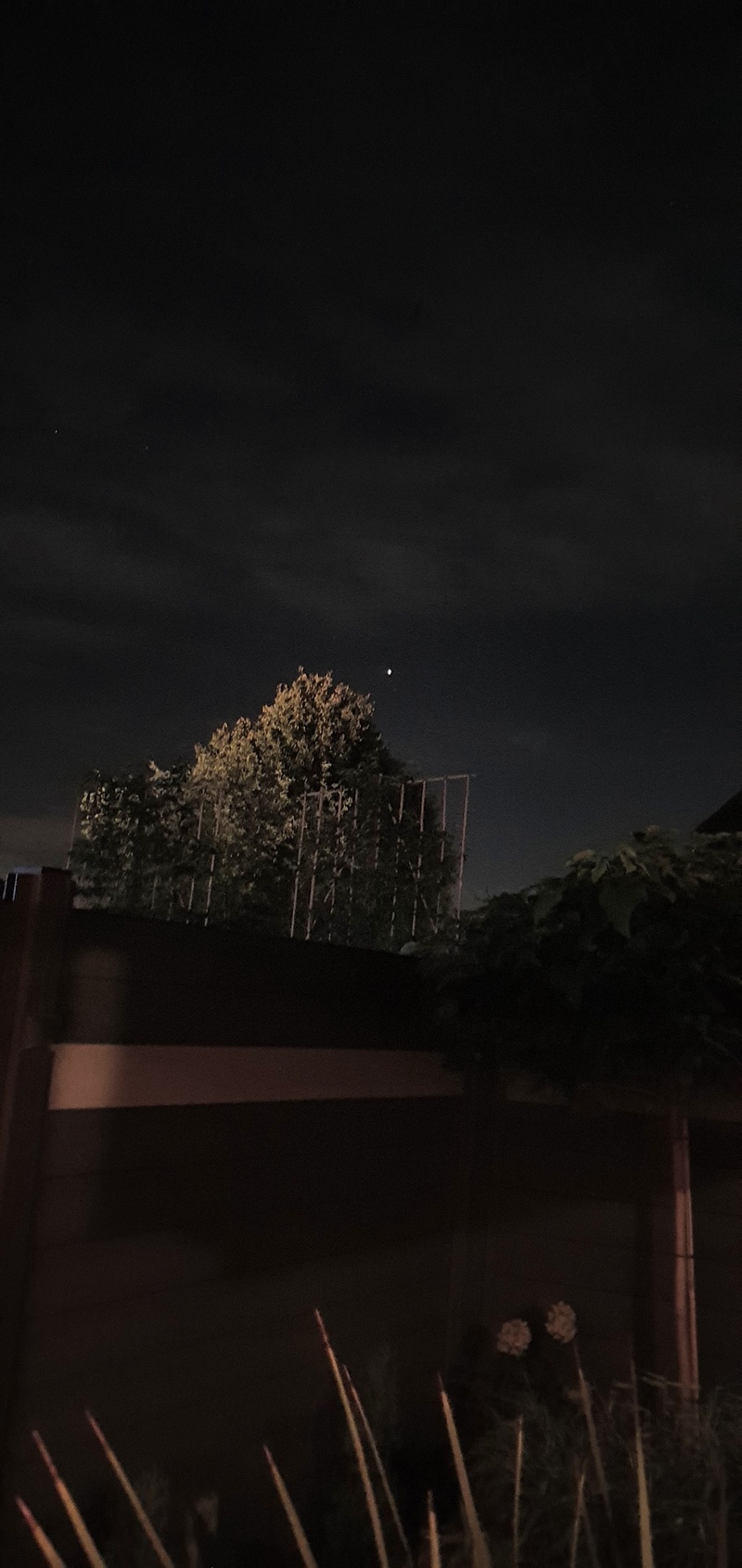 Afbeeldingslocatie: https://tweakers.net/i/owA0kQYSYHVuAvDYPM79wFz-3iM=/800x/filters:strip_icc():strip_exif()/f/image/EPfYcNyfO2ezDAyXHbW29biZ.jpg?f=fotoalbum_large