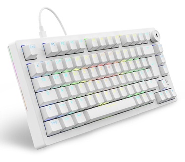 Sharkoon SGK25