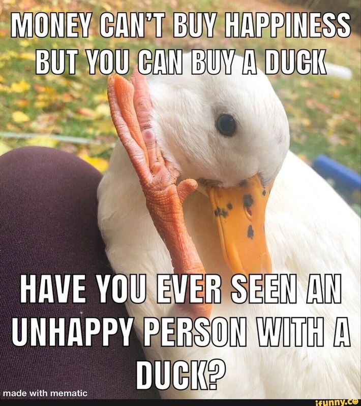 Afbeeldingslocatie: https://tweakers.net/i/oyL4buIRLIHpcZaS4g7ECVbxjto=/x800/filters:strip_icc():strip_exif()/f/image/J4qBWLQ7f3yDLZINmRhUXDcu.jpg?f=fotoalbum_large