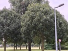 Cameravergelijking - 2x zoom