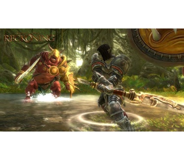 Kingdoms of Amalur: Reckoning, Windows