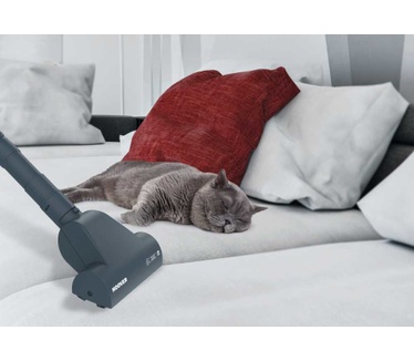 Hoover TELIOS PLUS TE70 TE75 PETS