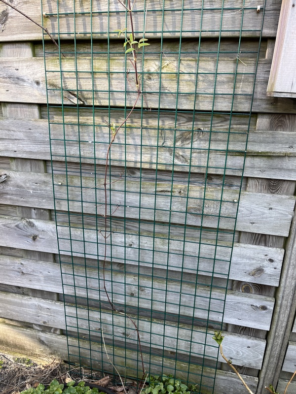 Afbeeldingslocatie: https://tweakers.net/i/p1QTpSKoYScY9vrm04csZjoHfOc=/x800/filters:strip_icc():strip_exif()/f/image/52wn4G1qpv35aUKrC6CZpBVB.jpg?f=fotoalbum_large