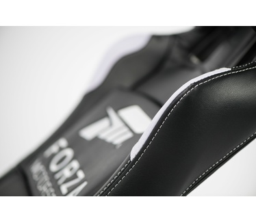 Playseat Forza Motorsport
