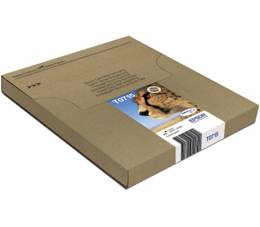 Epson T071 EasyMail multipack
