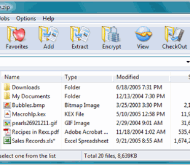 WinZip onder Windows Vista (klein)