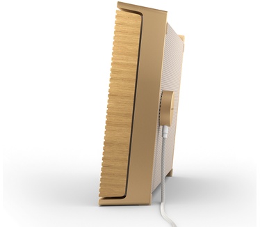 Bang & Olufsen Beosound Level