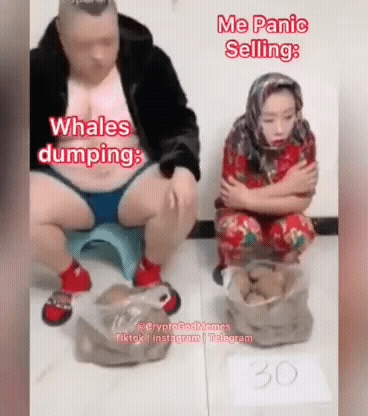 Afbeeldingslocatie: https://tweakers.net/i/p557h8HgSnj_YWzDJS6YNfMzD9s=/full-fit-in/4000x4000/filters:no_upscale():fill(white):gifsicle():strip_exif()/f/image/WAxNtJ76eIzdgn684a5WwiaY.gif?f=user_large