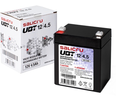 Salicru 013BS000006