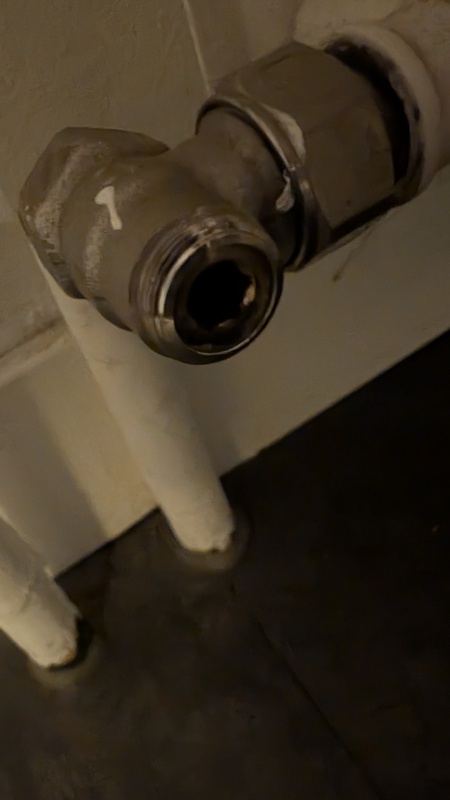 Afbeeldingslocatie: https://tweakers.net/i/p8DthlQ9a1RtK0JtmfiF3ZevCxs=/x800/filters:strip_icc():strip_exif()/f/image/isAwghv3rq7NMrwX2mjKB9cF.jpg?f=fotoalbum_large