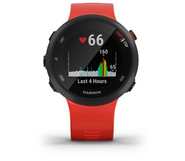 Garmin 45