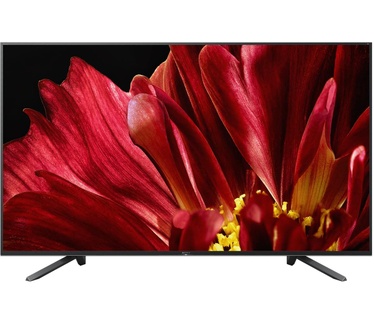 Sony Master Series ZF9