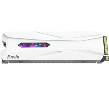 Biwin X570H