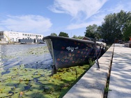 Sony Xperia 1 VIII Cameratest - Hoofdcamera overdag