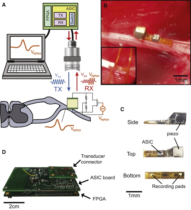 Neural Dust neurale stofjes